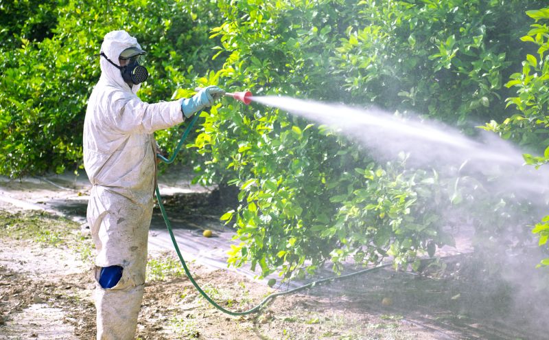 Commercial Fumigation in Franklin, TN
