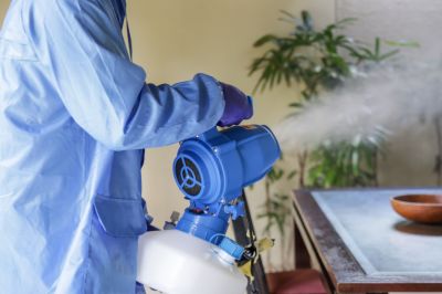 Commercial Fumigation in West Palm Beach, FL