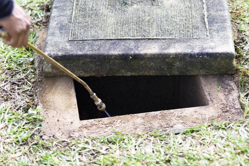 Rat Fumigation Service in Fredericksburg, VA