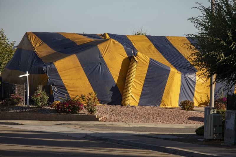 Termite Tenting in Katy, TX