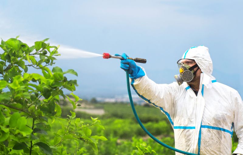 Pest Fumigation Service in Naperville, IL