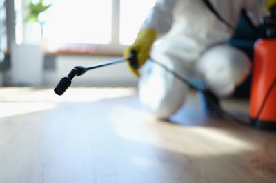 Pest Fumigation Service in Naperville, IL