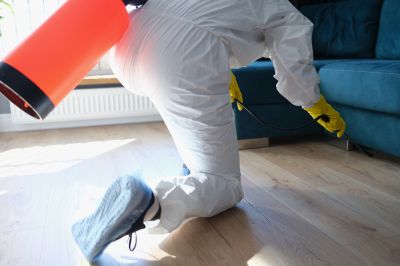 Pest Fumigation Service in Santa Fe, NM