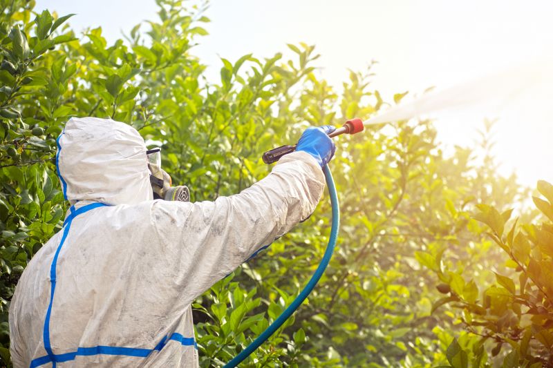 Pest Fumigation Service in Santa Fe, NM