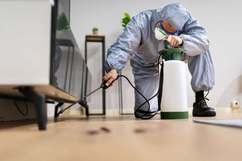 Roach Fumigation in Madison, WI