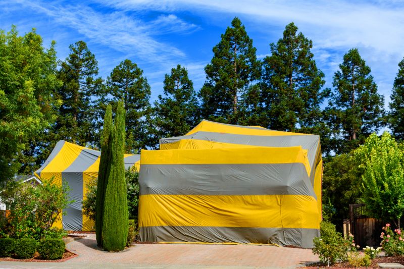 Termite Tenting in Phoenix, AZ