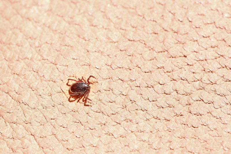 Tick Monitoring